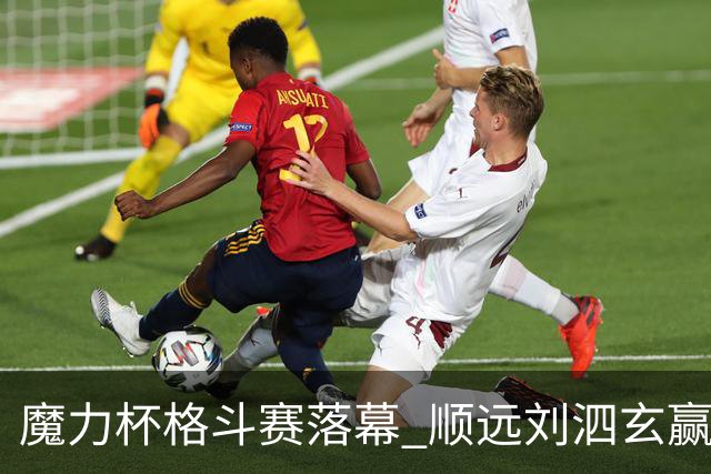 魔力杯格斗赛落幕 顺远刘泗玄赢下100公斤级